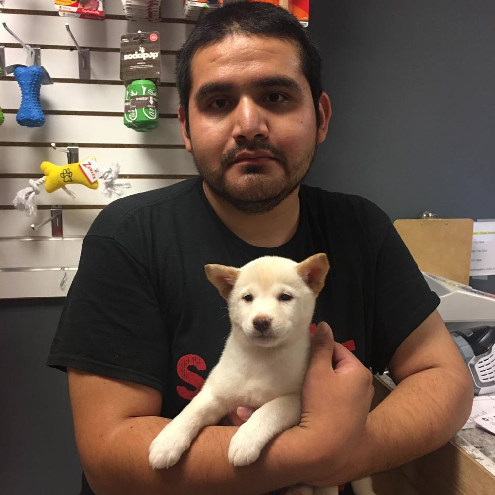 Meet your Posher, Emmanuel